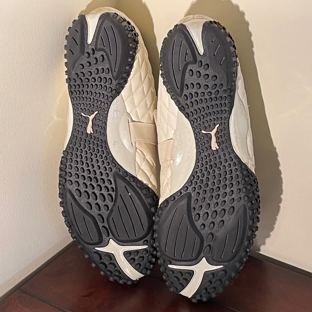Puma Mostro